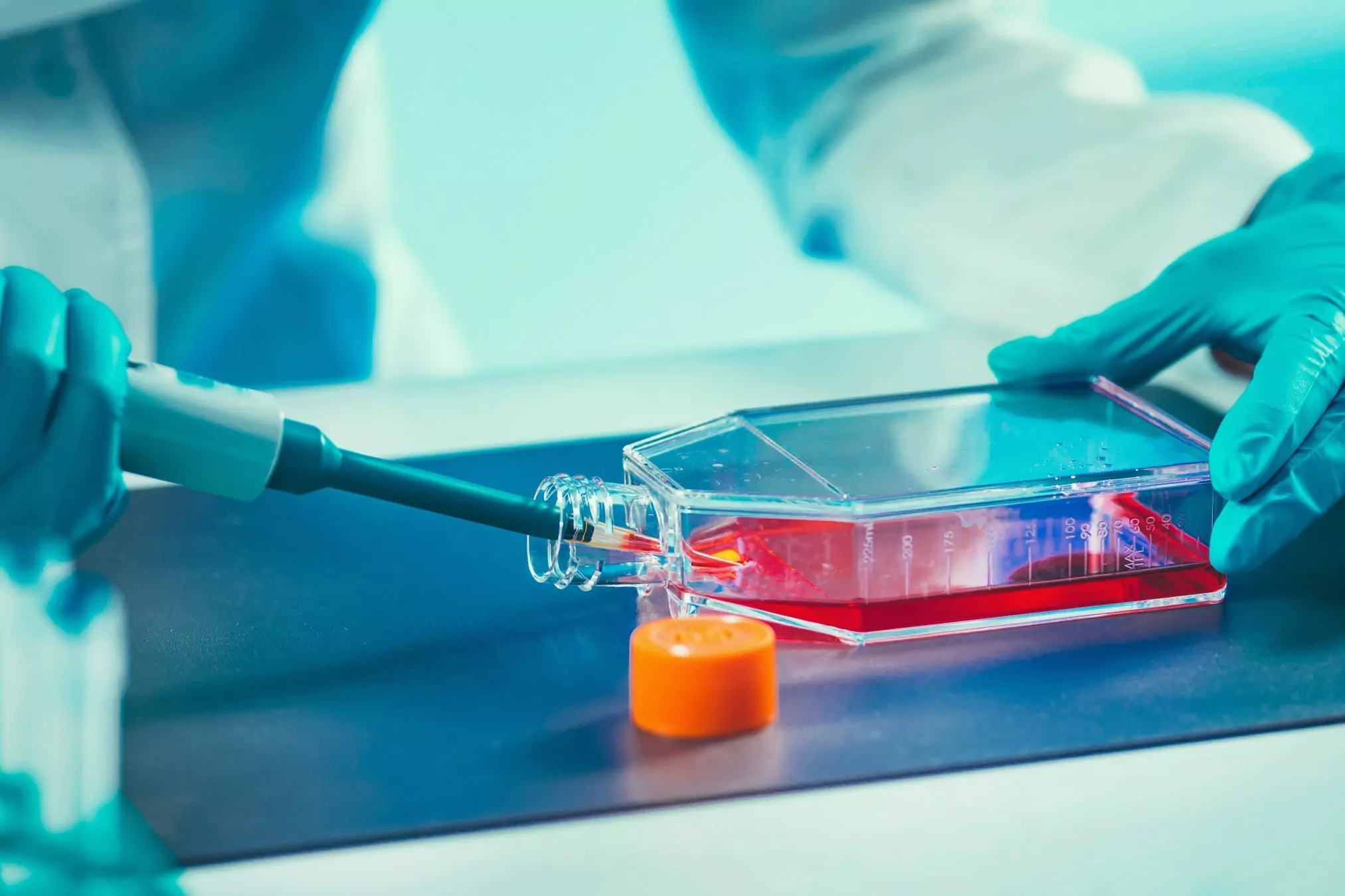 Laboratorium