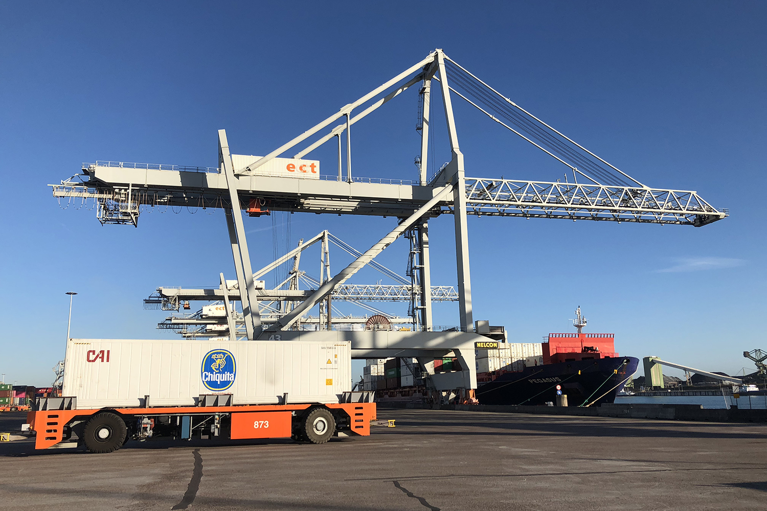 automated guided container crane